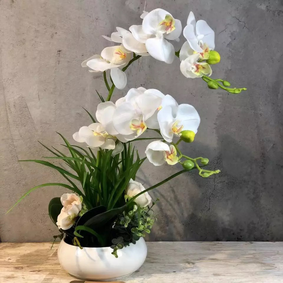 Simulated Bonsai 6