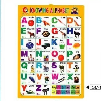 幼儿识字挂图 凹凸挂图 英文 数字 动物 挂画 墙画