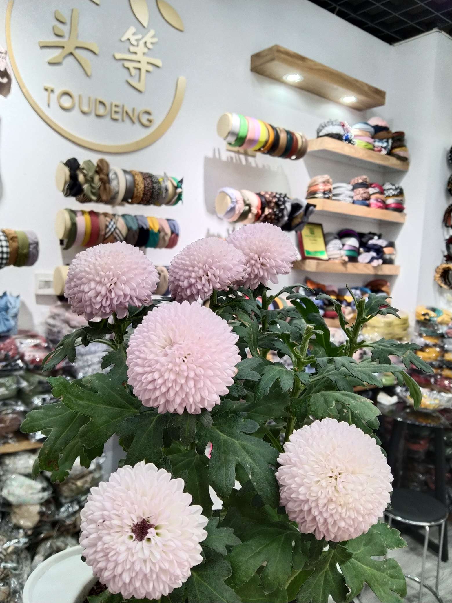 First-class accessories describe pic - 4