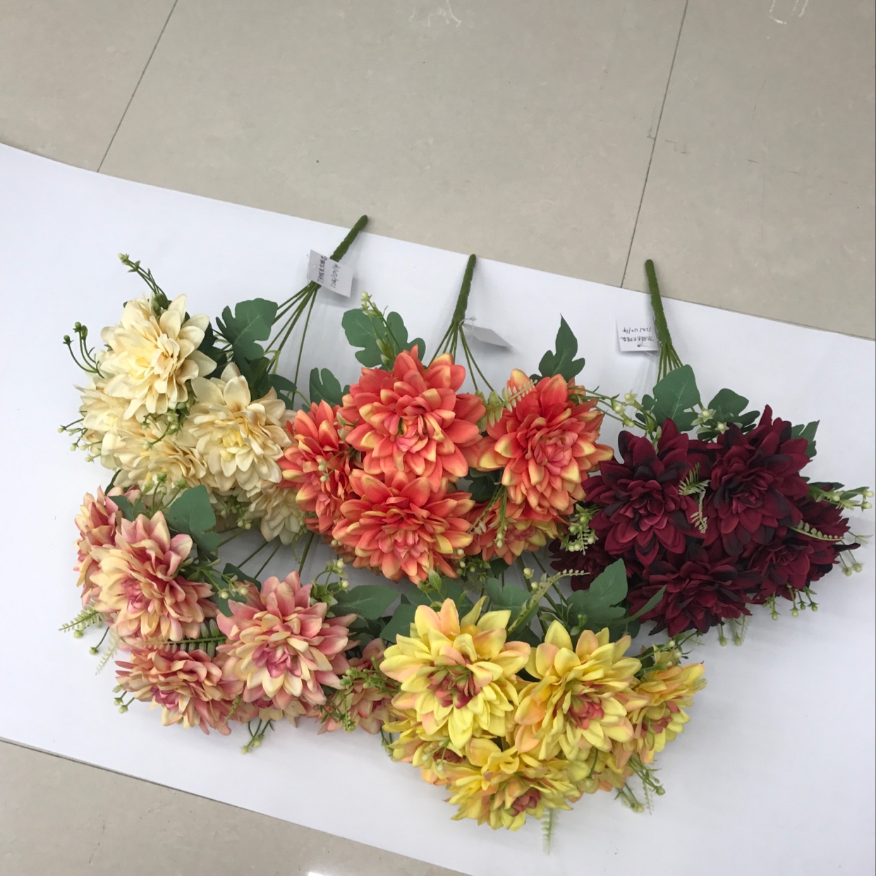 7头大理菊