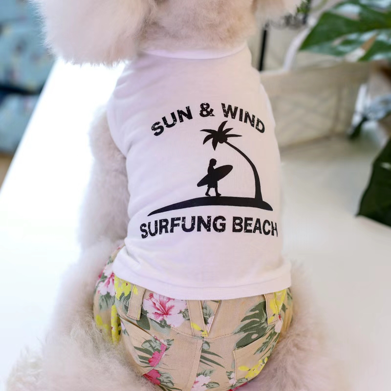 狗狗服装实物图