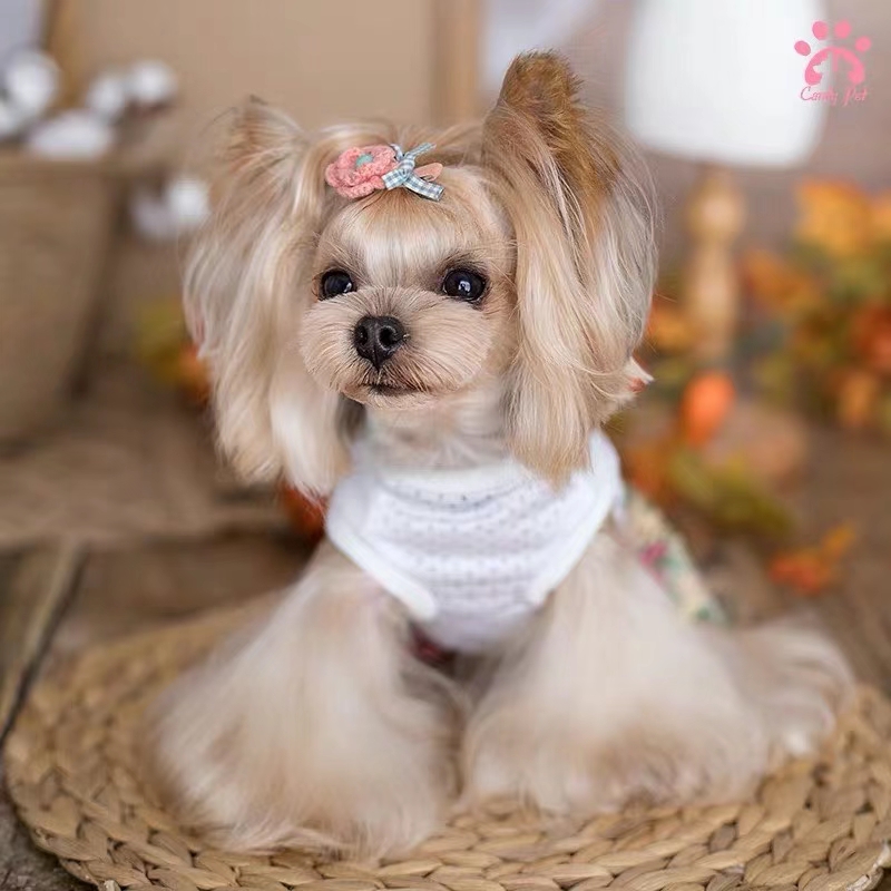 宠物用品，爱宠衣服，妥妥的夏日风情

情侣系列还是很赞的！详情图6