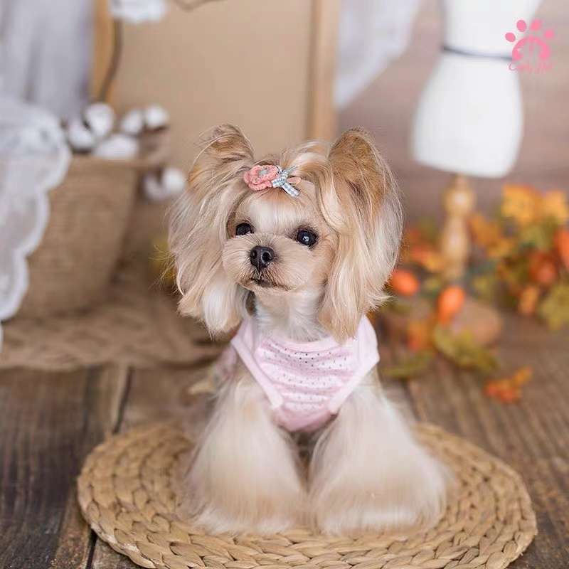 宠物用品，爱宠衣服，妥妥的夏日风情

情侣系列还是很赞的！详情图1