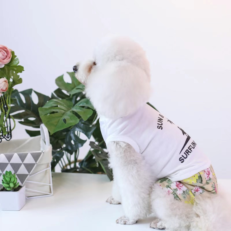 宠物用品，爱宠衣服，妥妥的夏日风情

情侣系列还是很赞的！详情图9