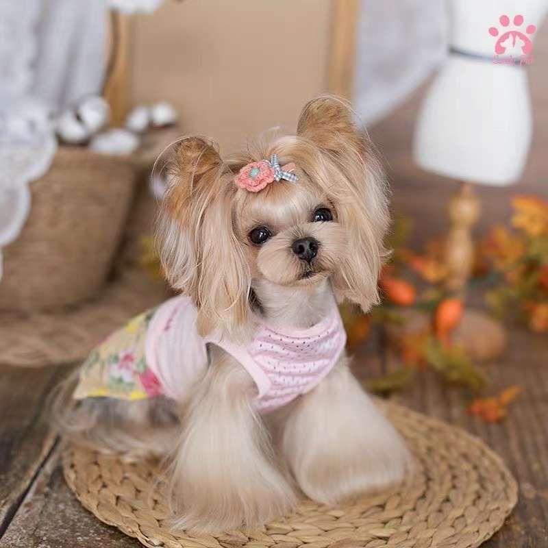 宠物用品，爱宠衣服，妥妥的夏日风情

情侣系列还是很赞的！详情图4