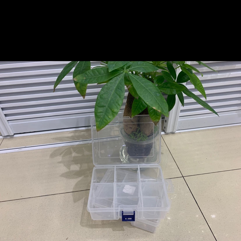 方形蓝扣六格收纳盒细节图