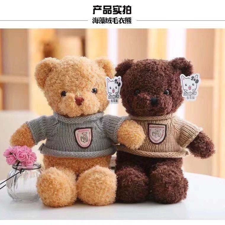 Instagram sweater teddy bear 🧸