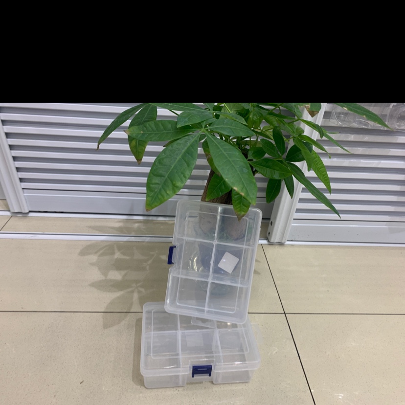 方形蓝扣六格收纳盒产品图