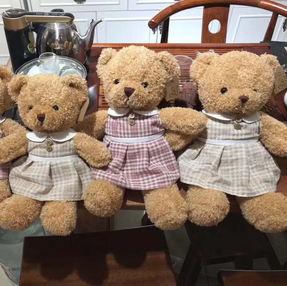 ins Garden skirt teddy bear 🧸30cm plush toy thumbnail