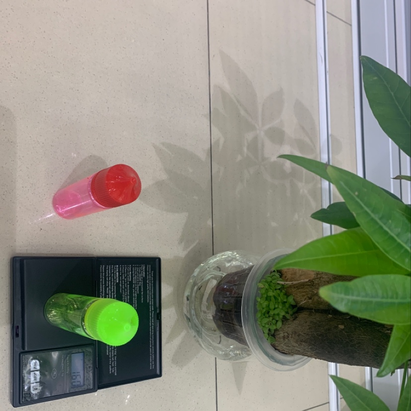 40ml压旋防盗pet油瓶产品图