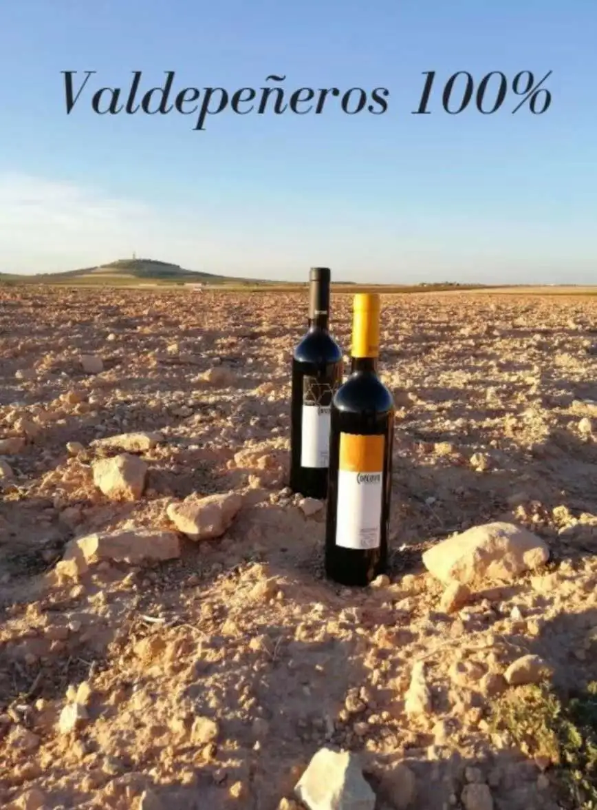 Spanish original bottle and original packaging imported Cocovo fine wine/red wine detail image 3