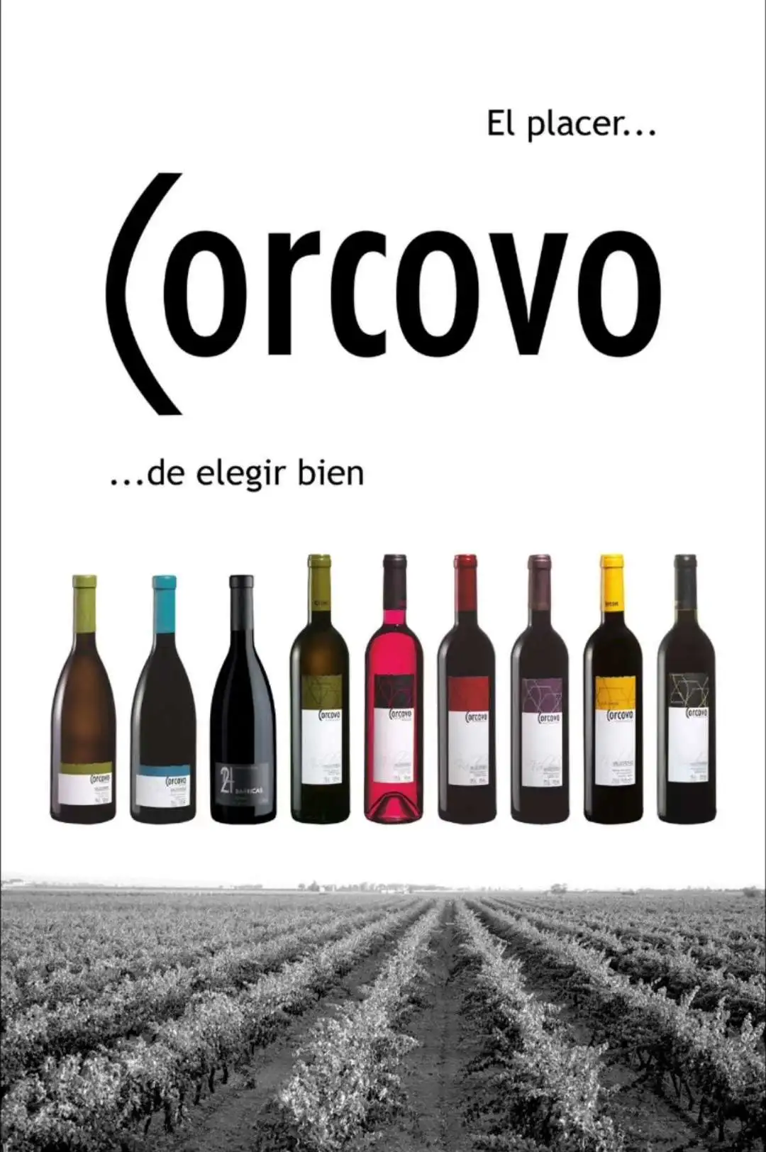 Spanish original bottle and original packaging imported Cocovo fine wine/red wine detail image 5