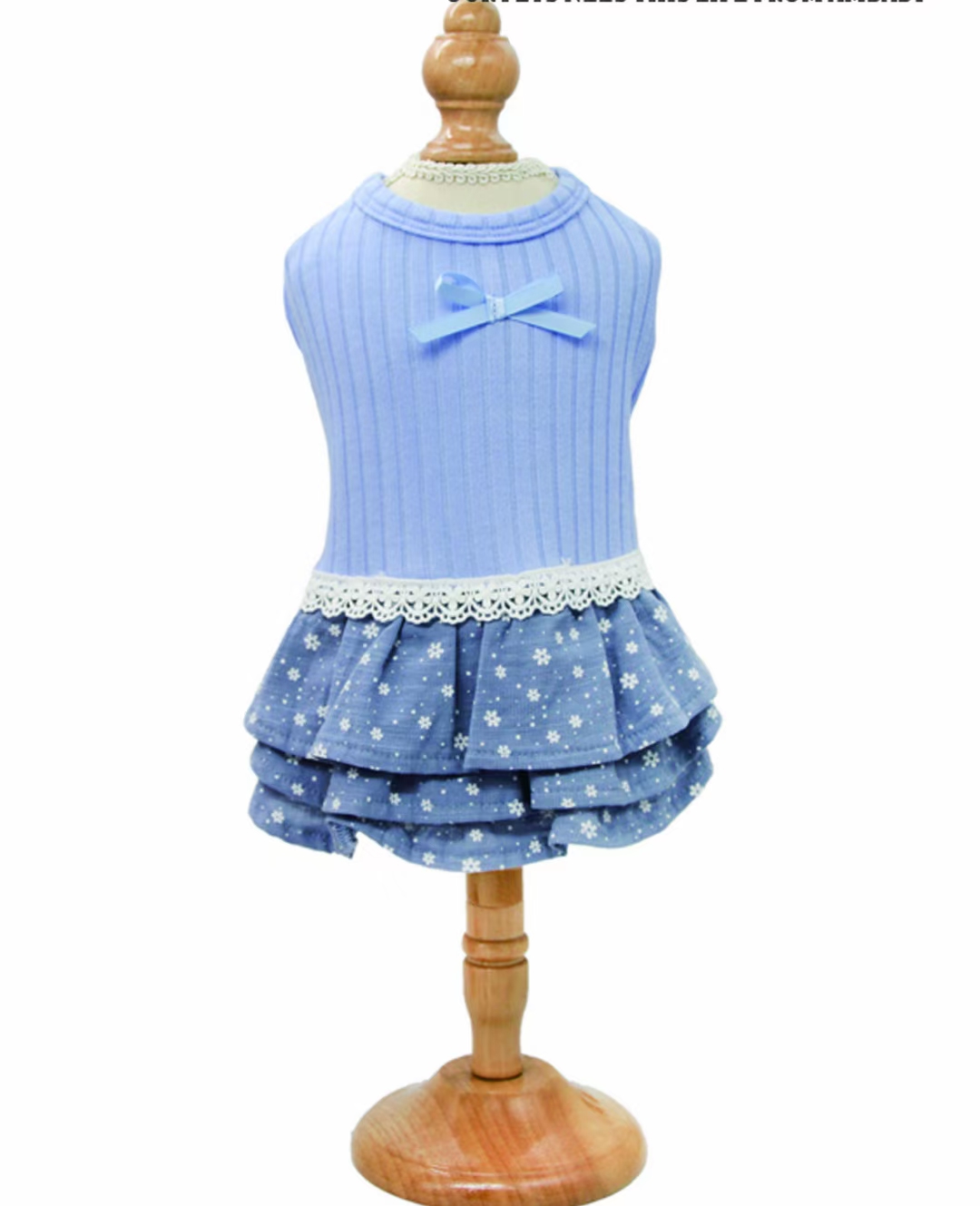 狗狗服装实物图