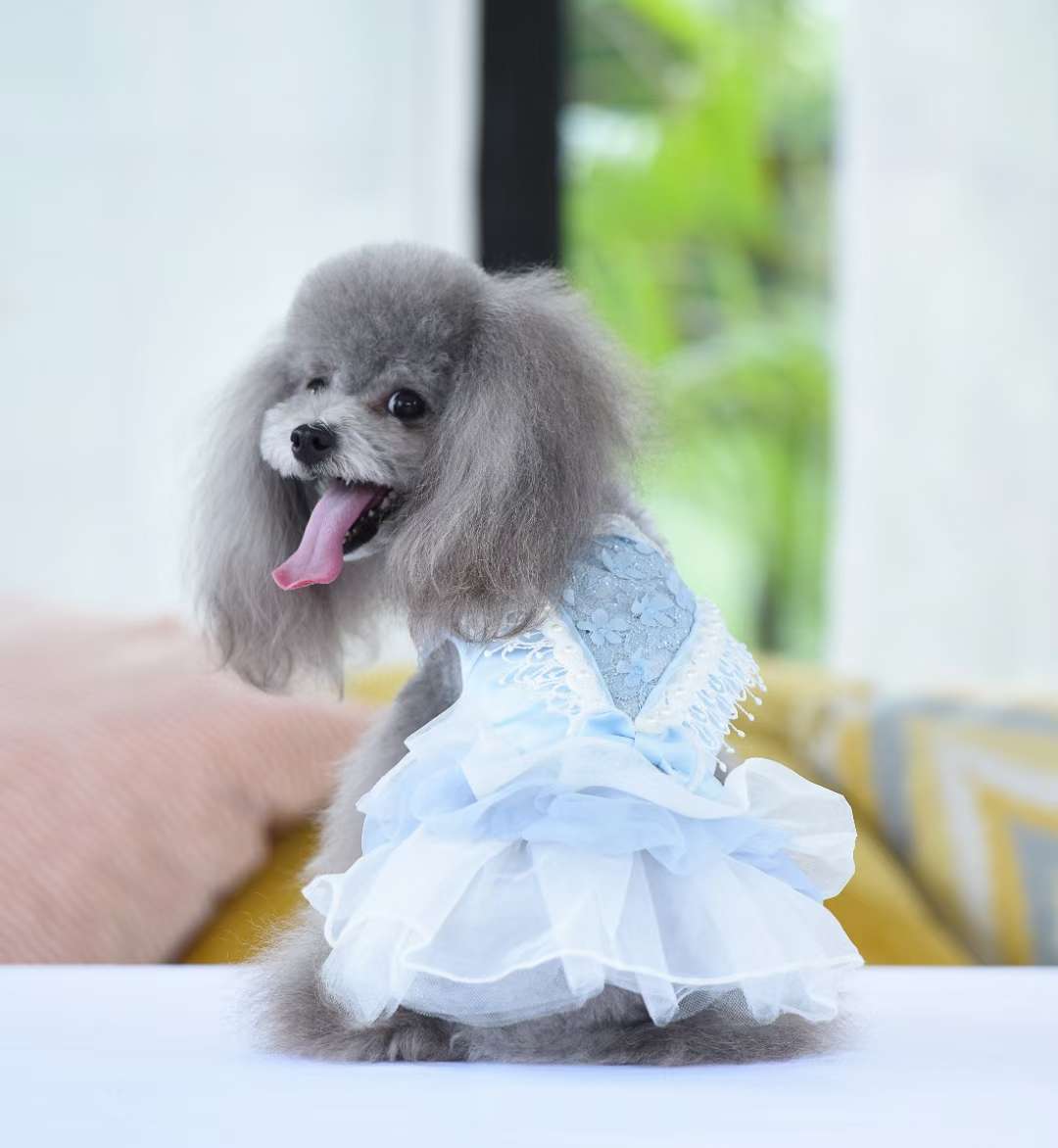 宠物用品，仙仙小裙子特价特价出啦！需要的老板联系我！详情3