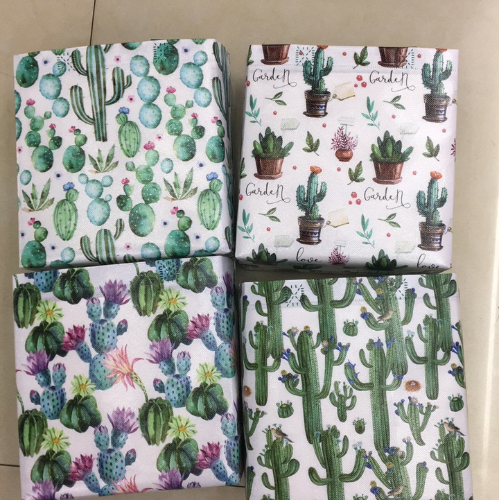 Factory direct sales of hand-held composite cactus three-dimensional bags, horizontal and vertical shopping bags