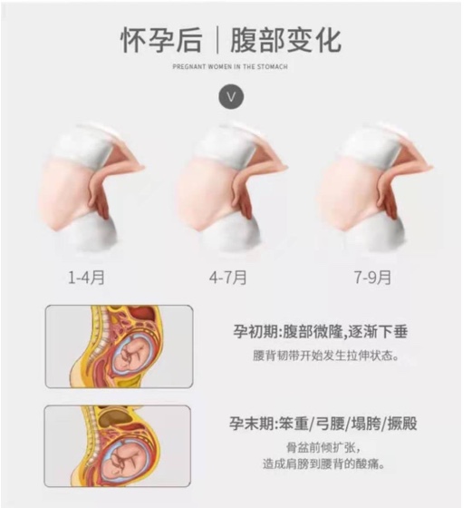 35323:3合1托腹带详情图4