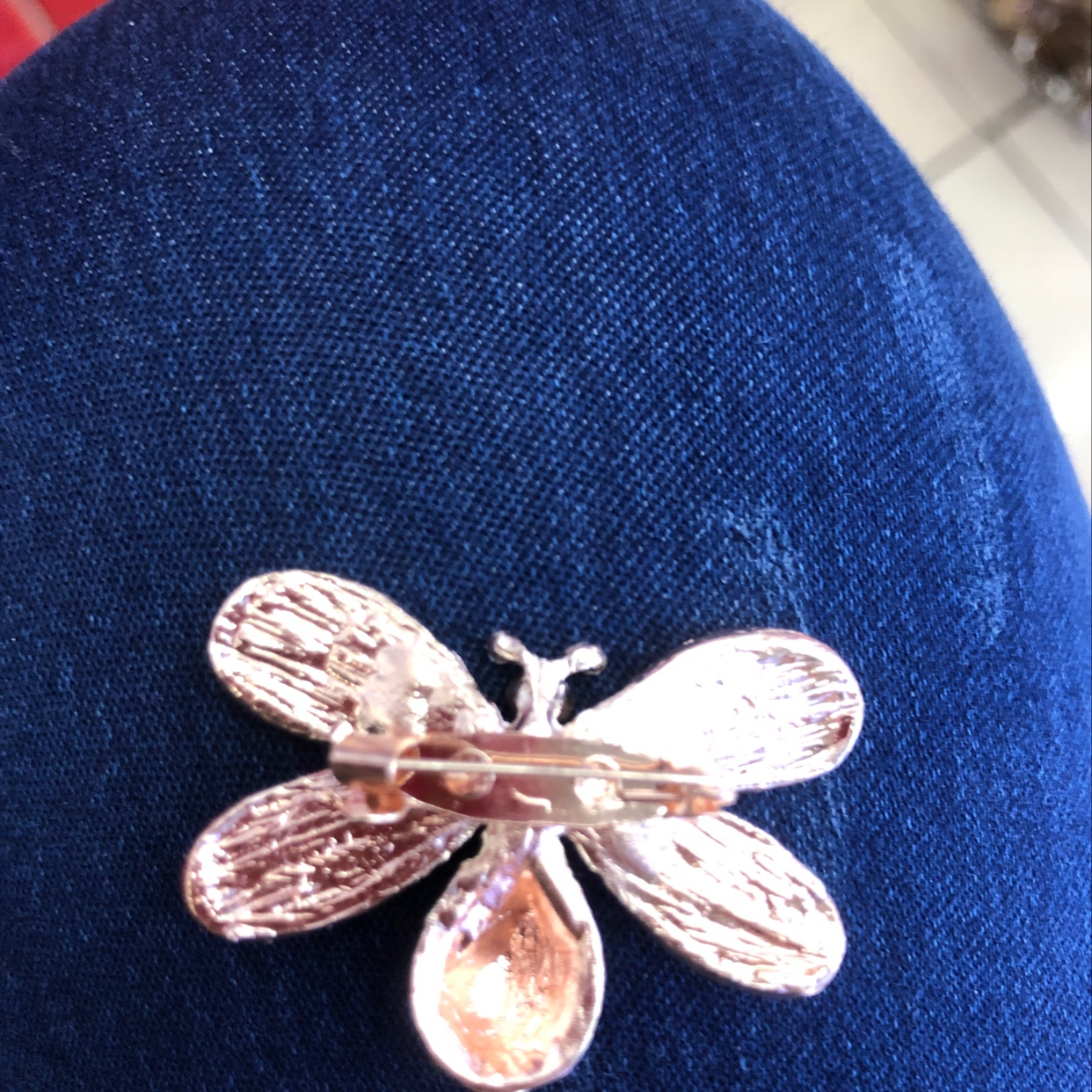 4黑条纹蜜蜂细节图