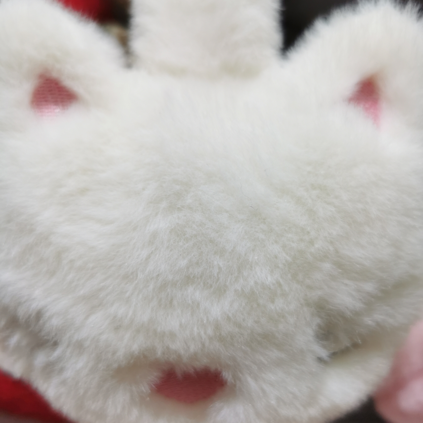 猫粉红