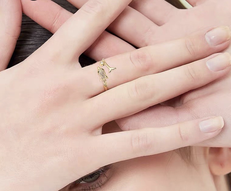 Chenglong Jewelry's Open ring is a trendy and fashionable Korean style, simple and stylish Instagram index finger ring, trendy CL01055-40 Application Scenario