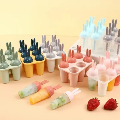 Plastic Ice Mold Ice Cream Mold 1006