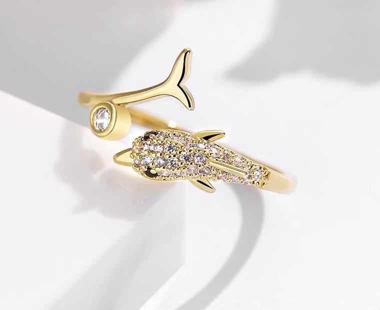 Chenglong Jewelry's Open ring is a trendy and fashionable Korean style, simple and stylish Instagram index finger ring, trendy CL01055-40 details Picture