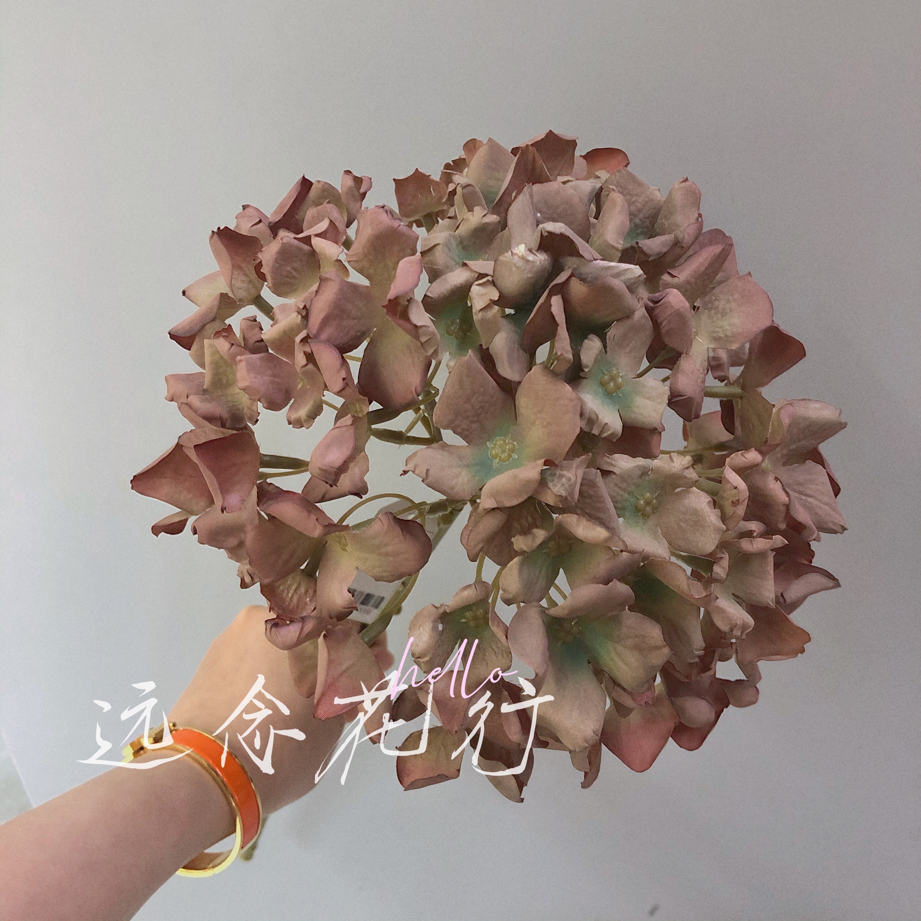 【远念花行】单支中号卷边绣球 焦边仿真花详情1