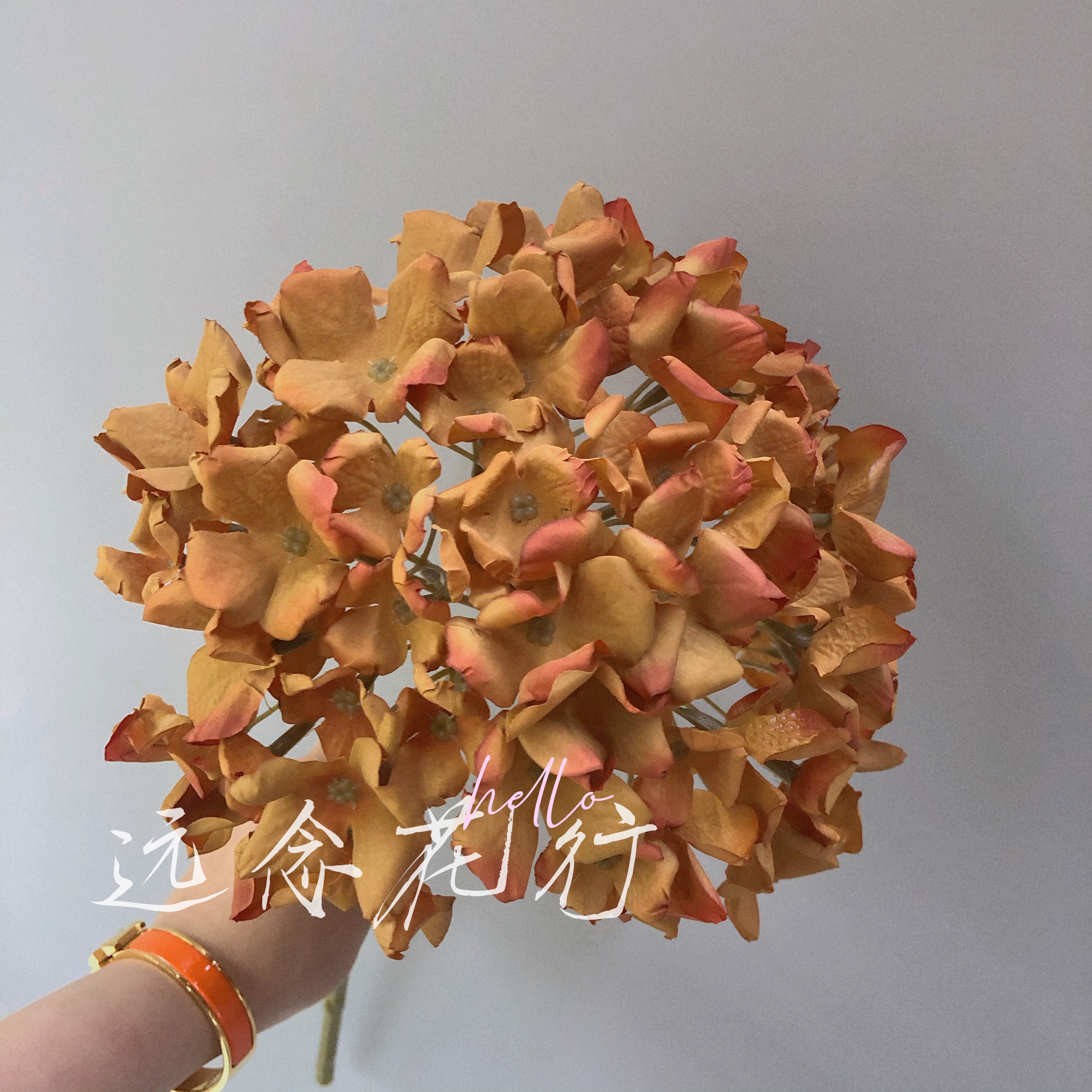 【远念花行】单支中号卷边绣球 焦边仿真花详情3