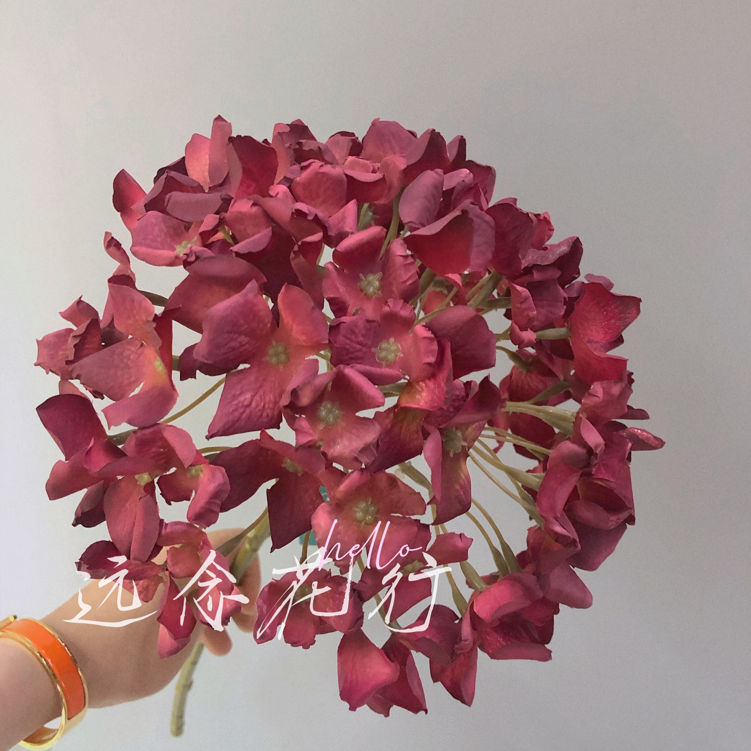 【远念花行】单支中号卷边绣球 焦边仿真花详情4