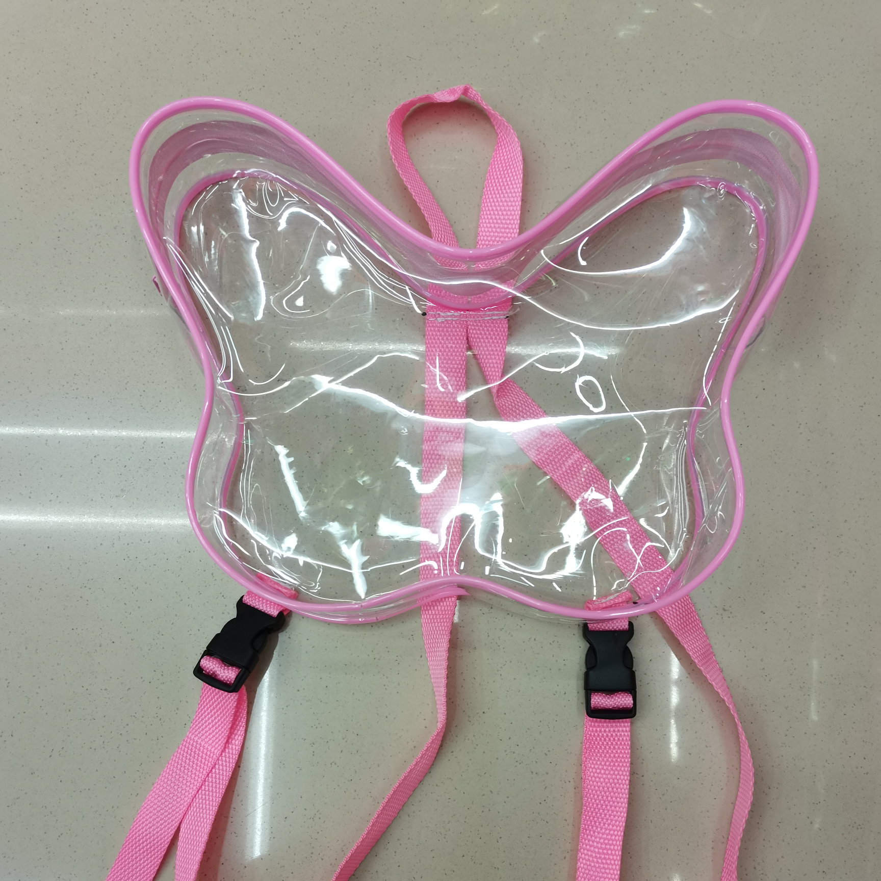 Transparent backpack