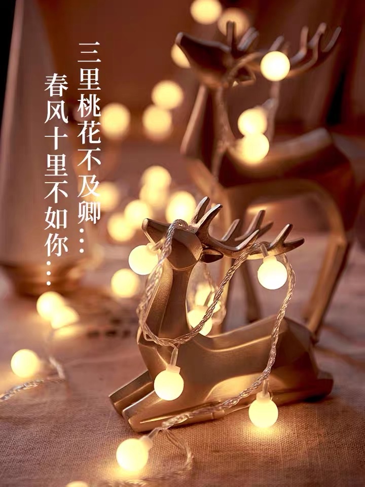 2米20头led圆珠灯串圣诞灯节日灯装饰灯彩灯产品图