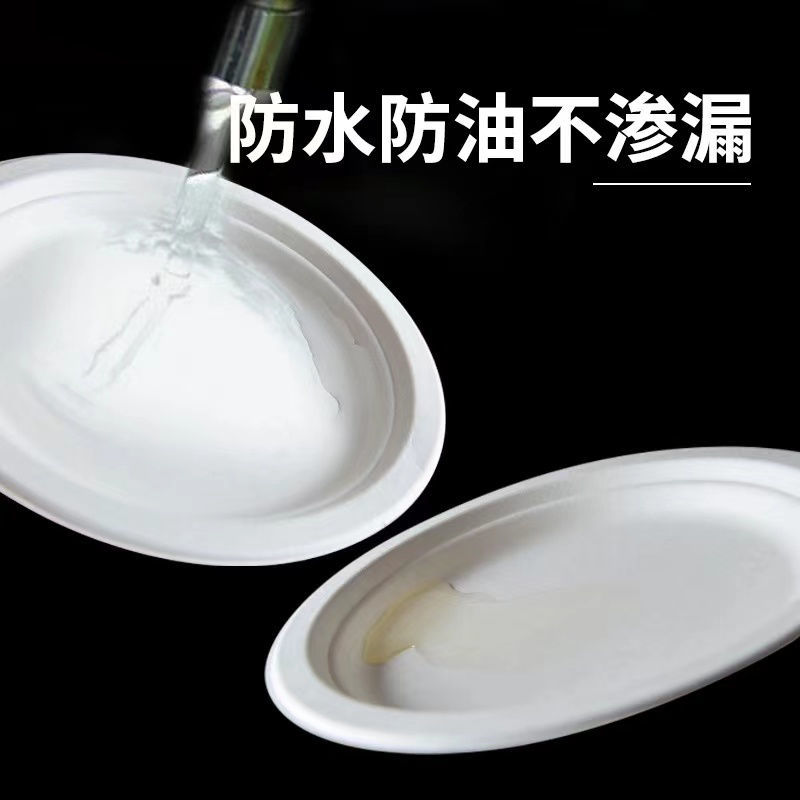 一次性餐盘10寸