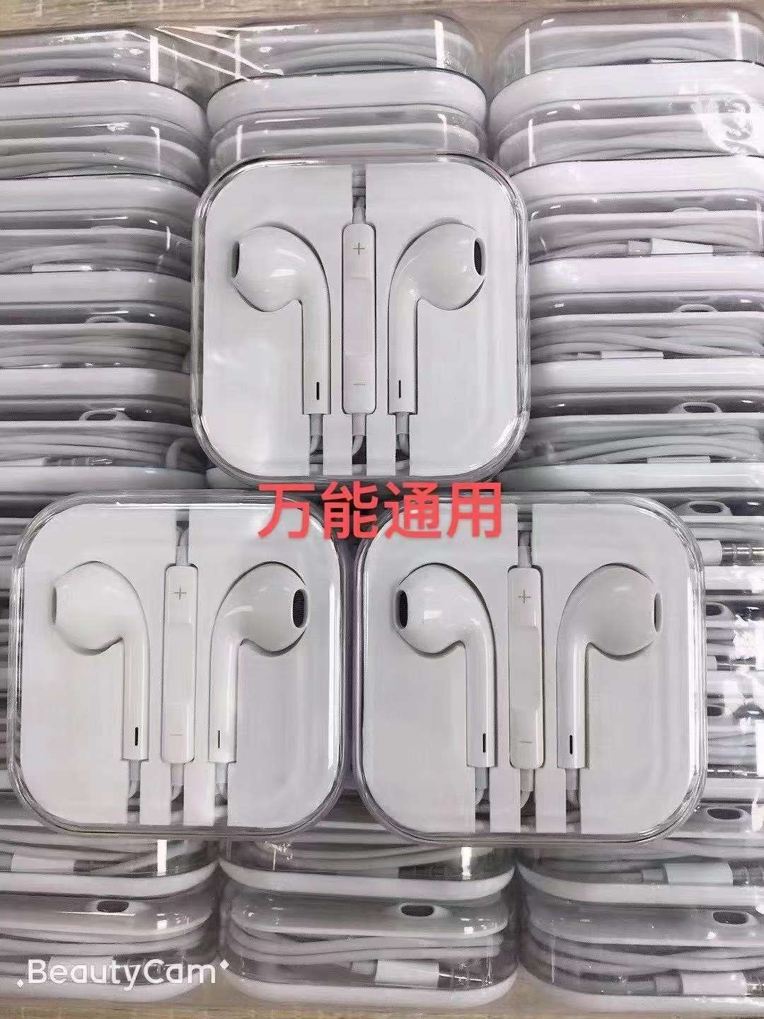 Apple Earphones details Picture