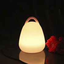 Portable night light living room decoration baby toy intelligent remote control light reading charging portable night light