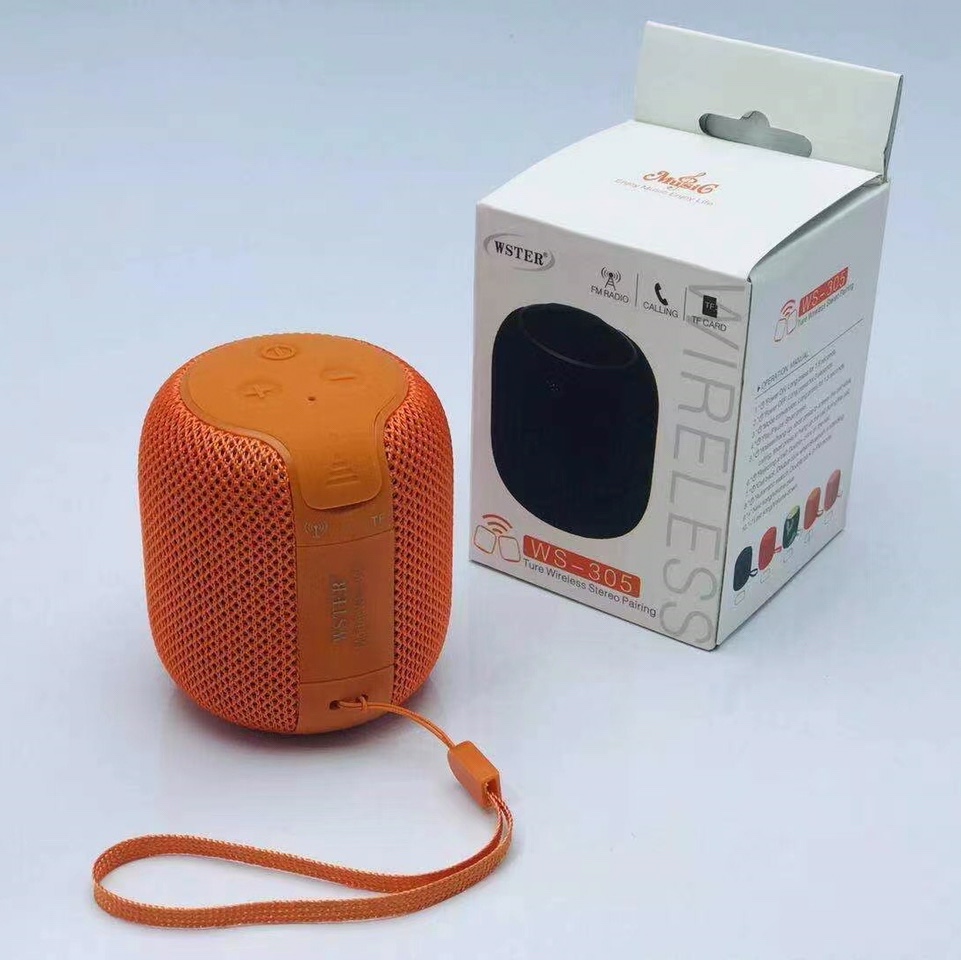 WS-305