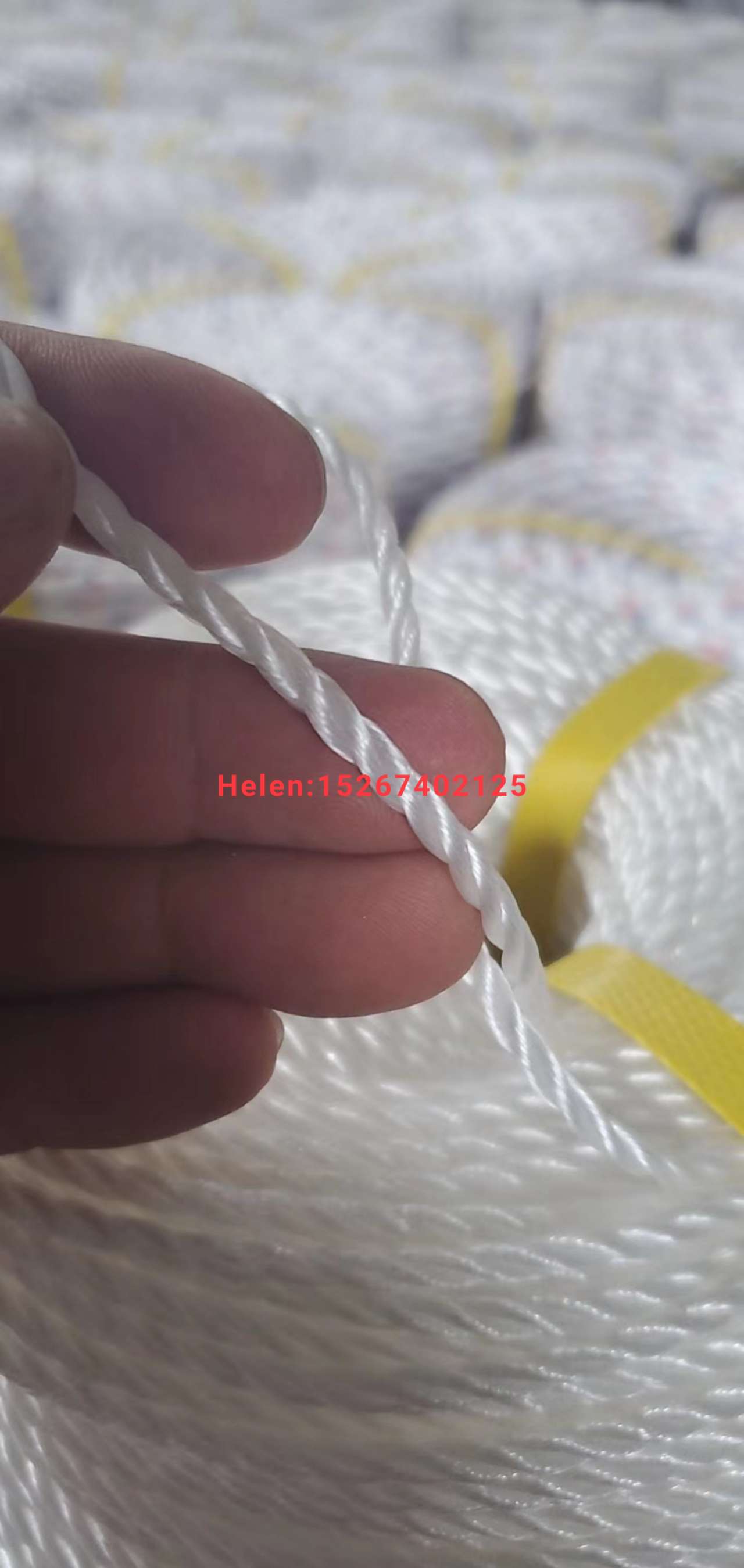 厂家直销 编织绳 尼龙绳 彩色编织绳 织带编织绳  绳子 包芯绳子  专业出口绳子s产品图