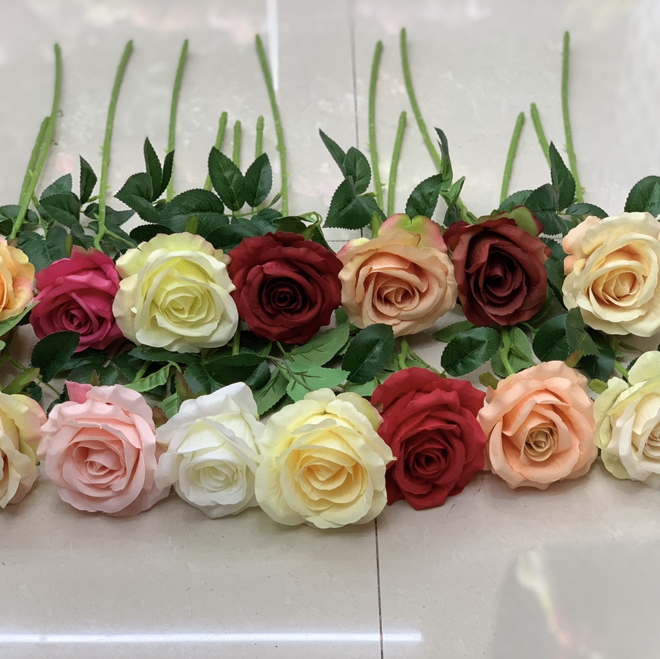 روز الإيطالية 1