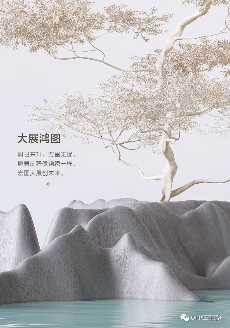 欧普鸿图6头详情图5