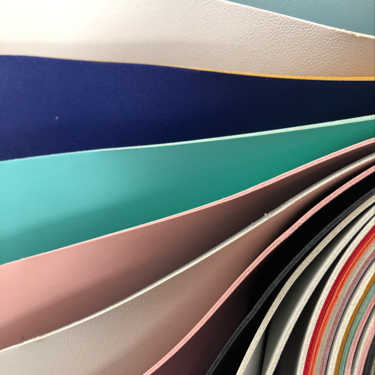 双面各色餐垫革白底实物图