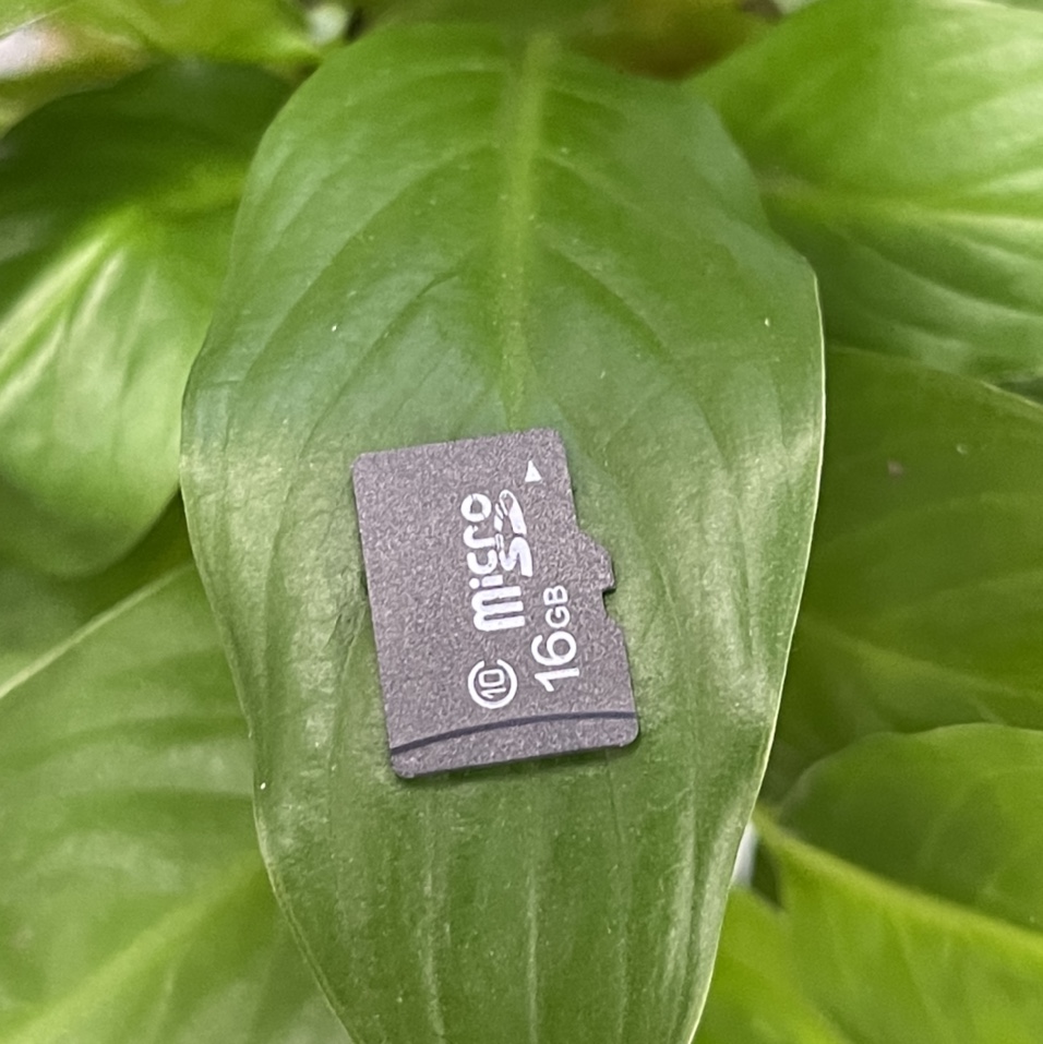 Memory card -16GB camera SD card, digital storage card
