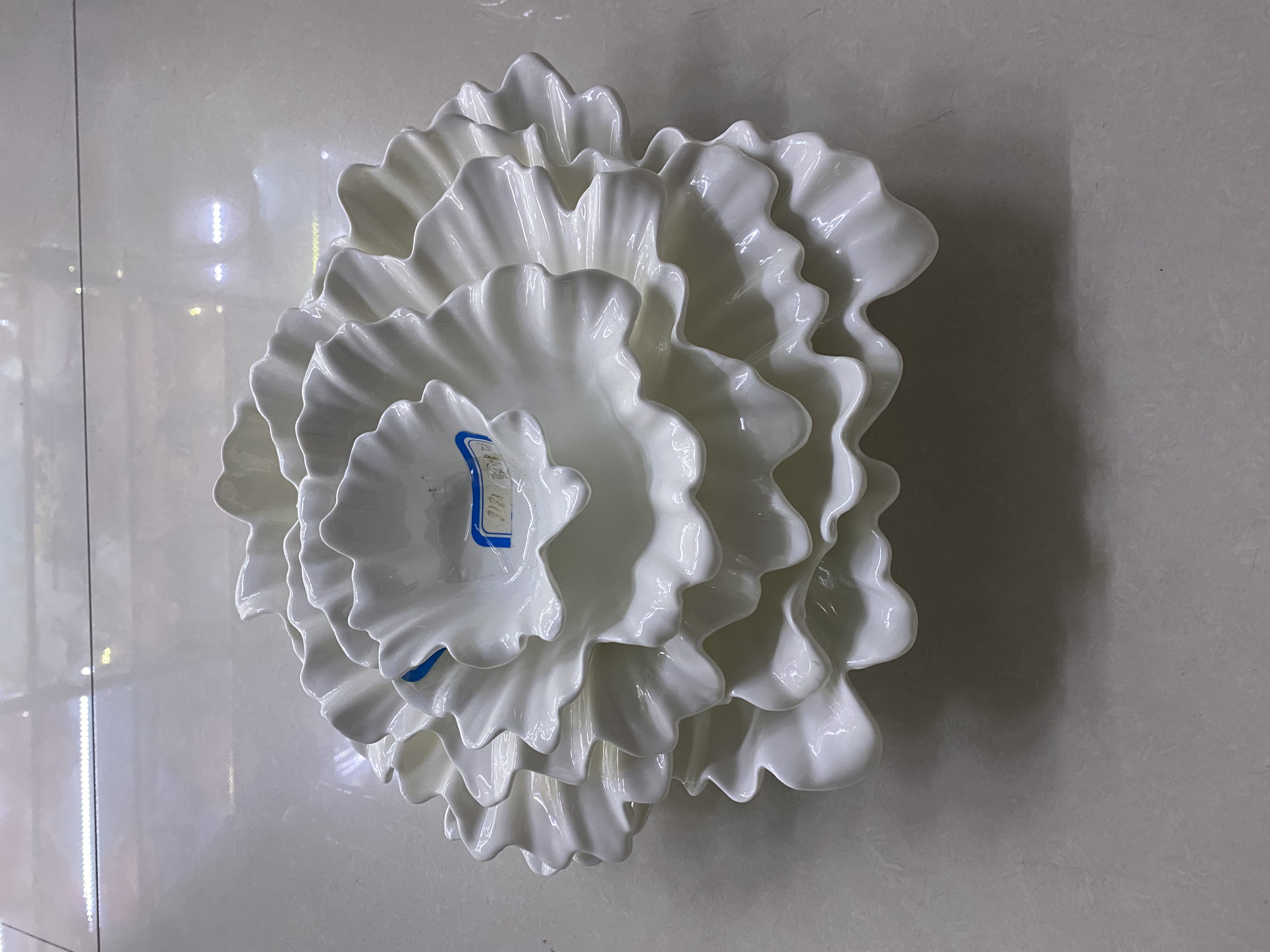 12寸秋菊产品图