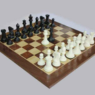 国际象棋初学 国际象棋初学 国际象棋初学 
