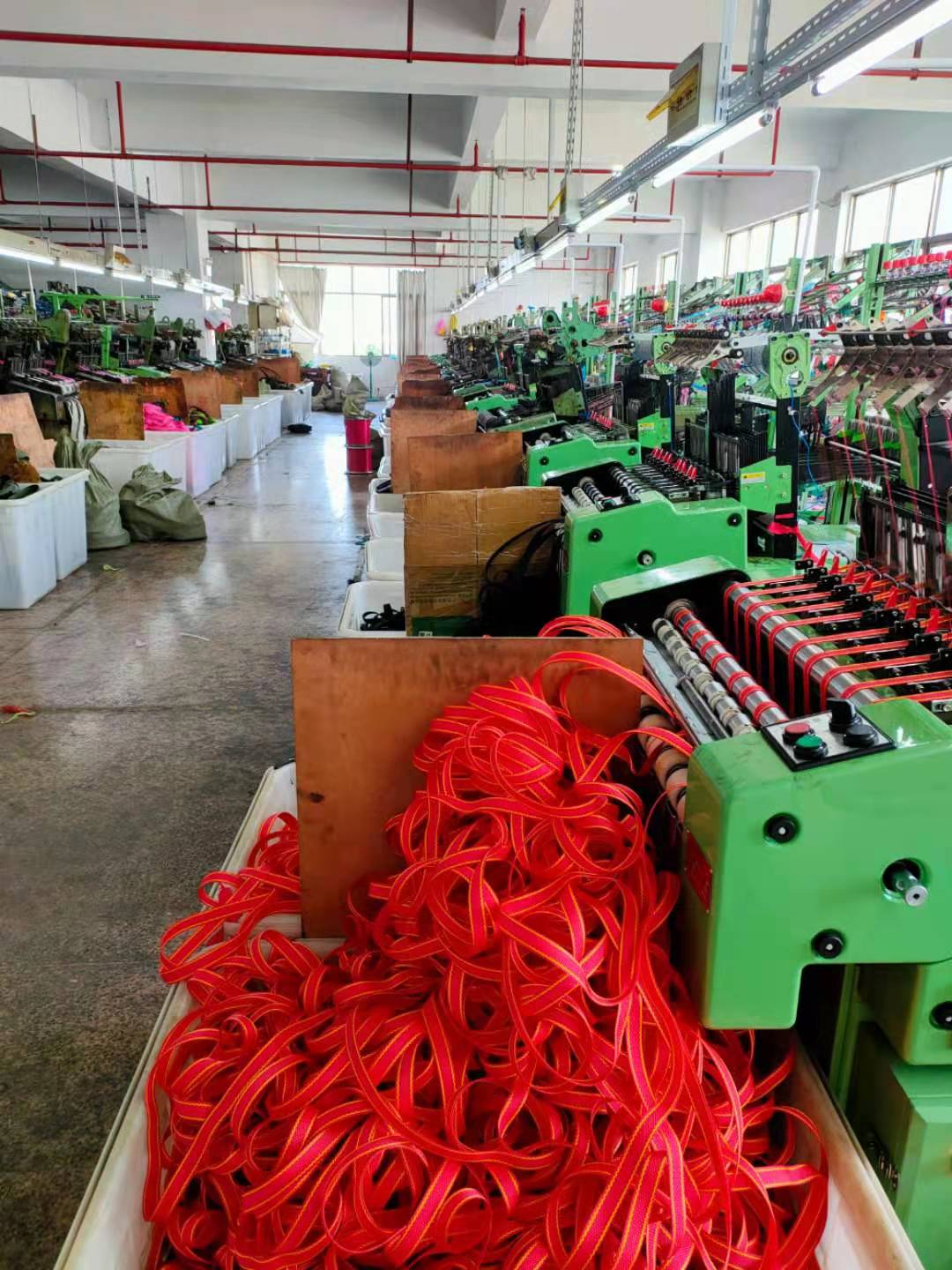 Striped webbing polypropylene new European standard environmentally friendly webbing Specification image
