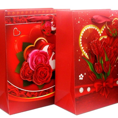 红花礼品袋情人节
