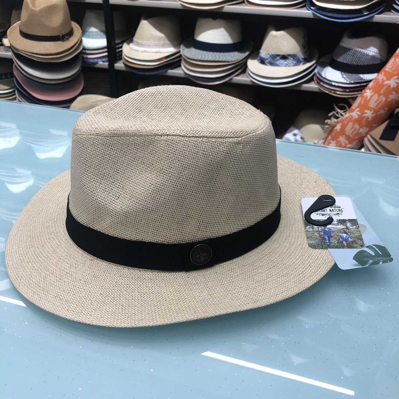 Panama Hear