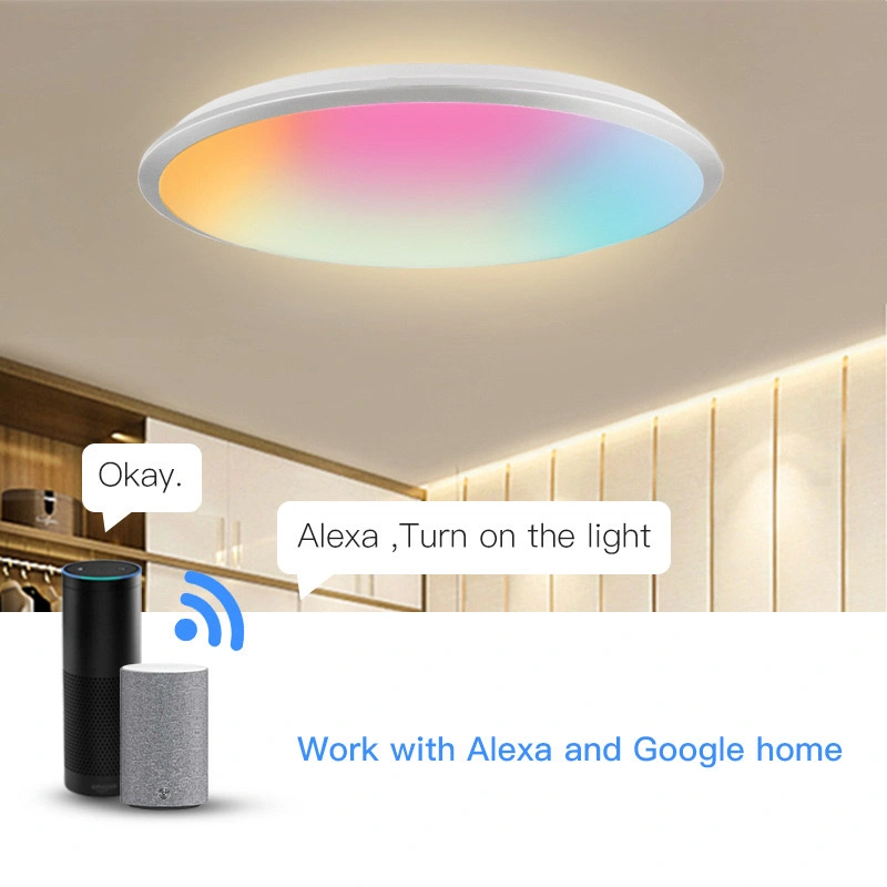 DoHome/ Graffiti LED Smart Ceiling Lamp /WiFi Voice Remote Control three-proof lamp Xiaomi Smart Home detail image 4