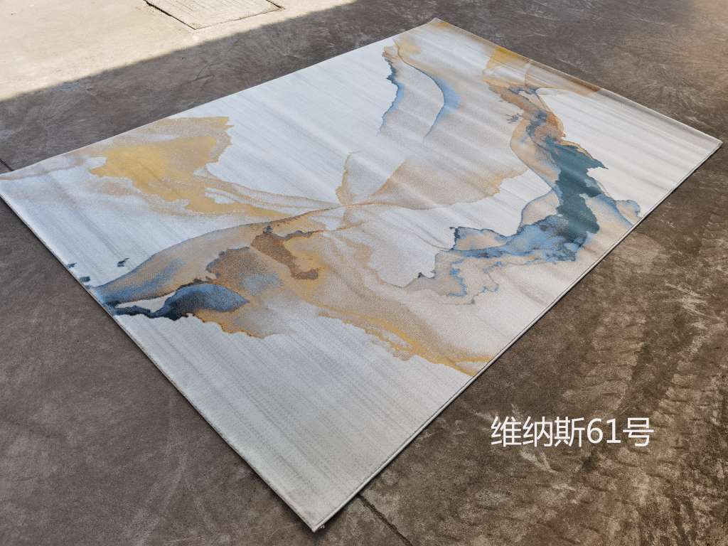 Living Room Rug Coffee Table Rug 160*230 details Picture
