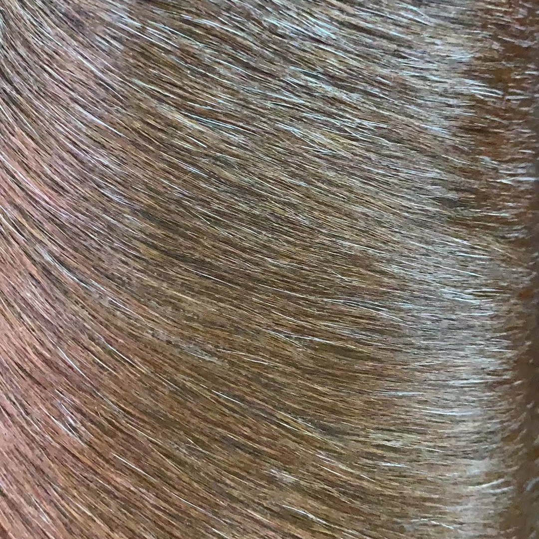 Horsehair 617 one 12