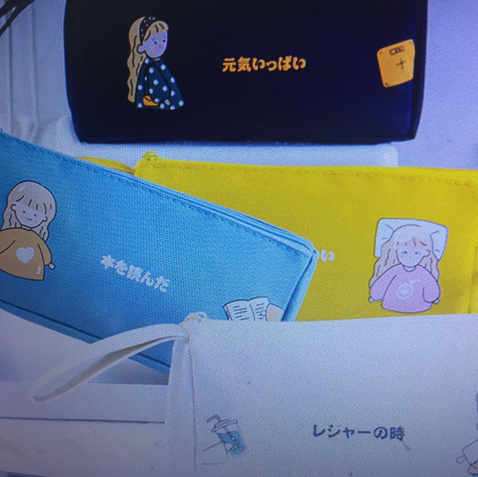 Pencil bag 453