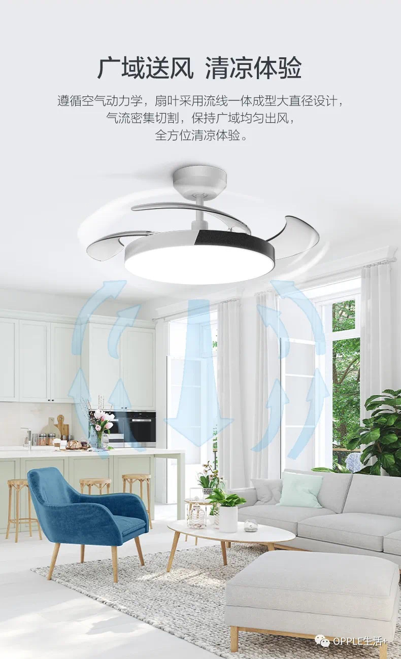 欧普电风扇风尚金36寸光源36瓦电机30瓦细节图