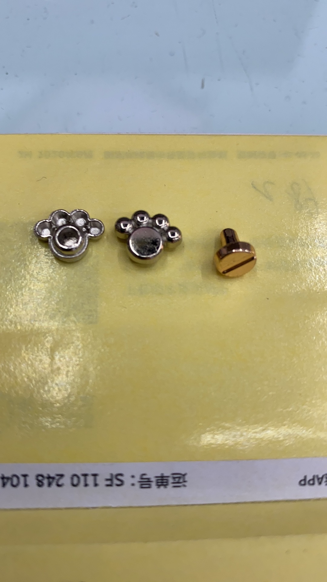 带圈白底实物图